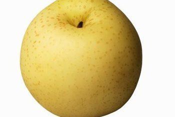 Boomer reccomend Asian pear varieites
