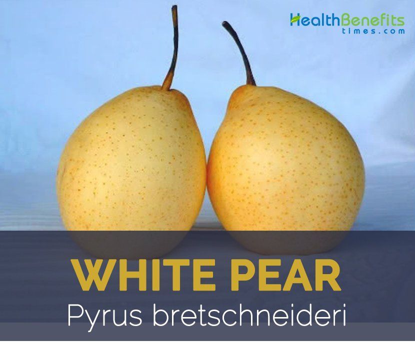 Be-Jewel recommendet Asian pear varieites Pistol add photo