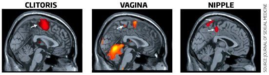 X-Ray add photo