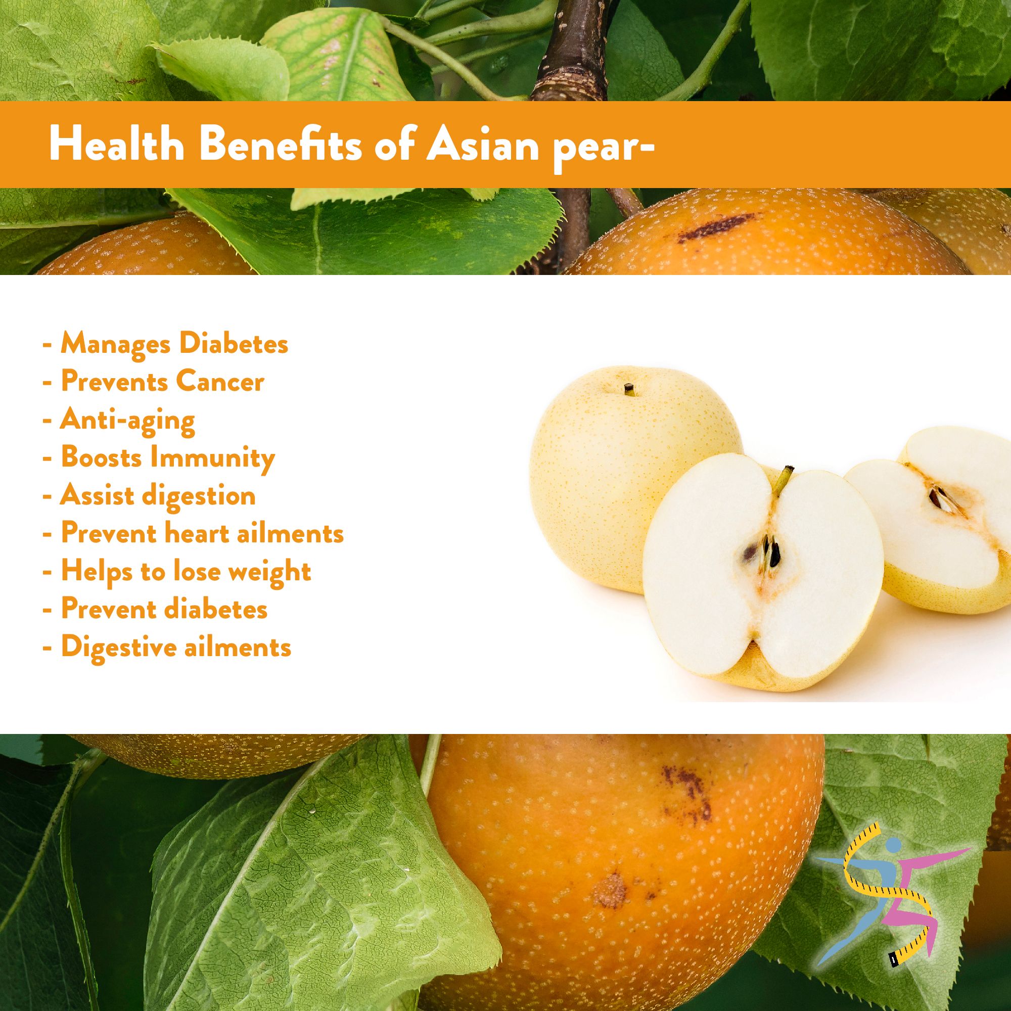 Asian pear varieites