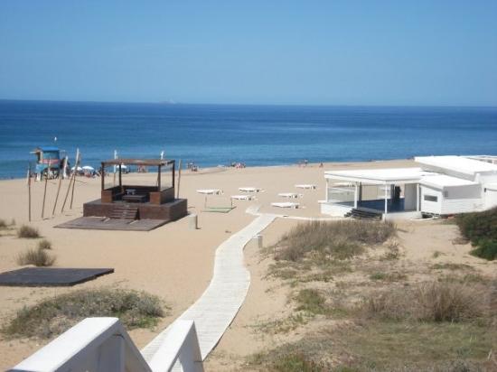 GM recomended este uruguay beach punta del Bikini Bikini beach punta del este uruguay