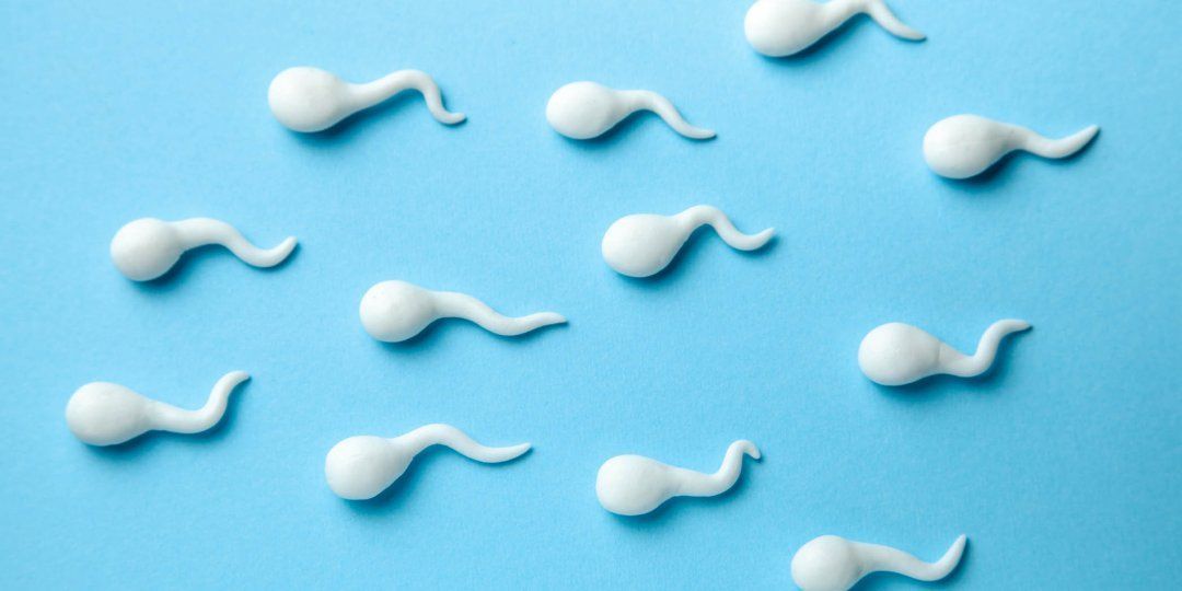 best of Volume Normal sperm
